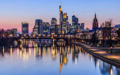 Buying/Selling a Business: The External View